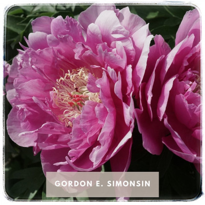 GORDON E. SIMONSON