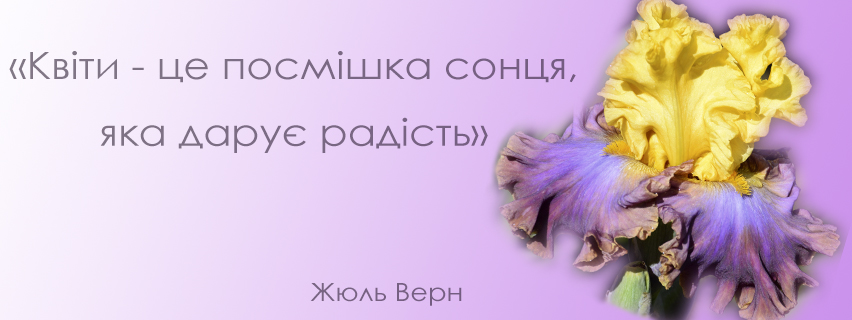Коллекция ирисов